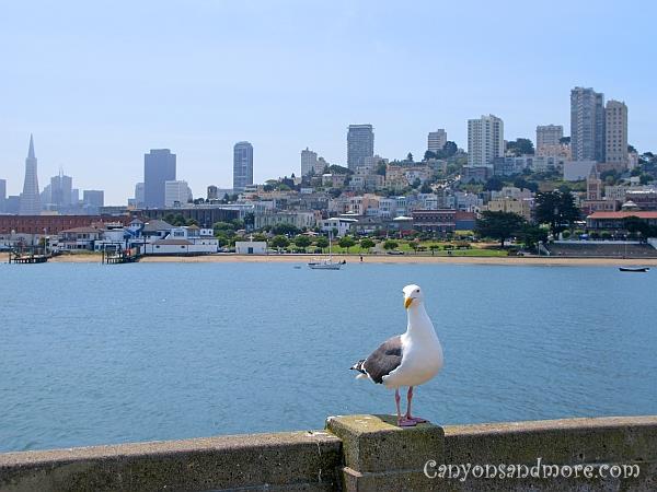 San Francisco California 2